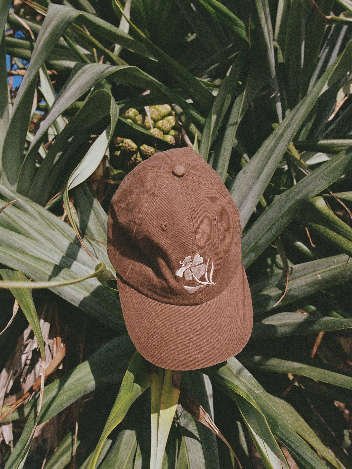 Ascent Cap | Umber - Image 7